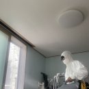 서대문시니어클럽 뽀송뽀송 이미지