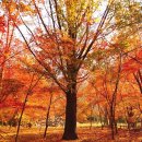 더원 치과기공소 이미지