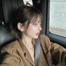 태리정