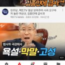 유투브에서 가짜뉴스가 사라지고 있다.(feat.고양이뉴스) 이미지