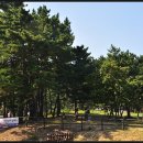 구례포 야영장 이미지