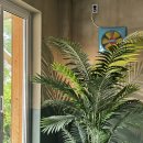 길리 리조트 이미지