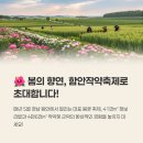 테마-방방곡곡(낙동강) | 함안 작약축제 2025 일정·위치·주차 꿀팁까지 총정리