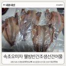 건어물시장 | 속초중앙시장 건어물 속초오미자 웰빙반건조생선건어물 후기