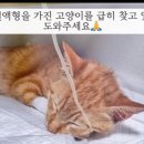 방학사진관