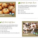 월광가든 이미지