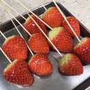 [일상] 여수 핫한 카페. 모이핀(moi fin). 에코힐즈 눈썰매.