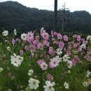 평화로운 일상 이미지