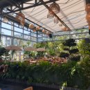 그곳 애월2 이미지