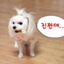미친소