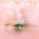 봄을 그리며 이미지