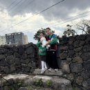 제주청년살이 이미지