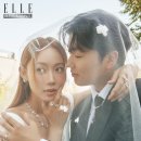 젤라비