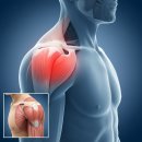 연세견우정형외과의원 이미지