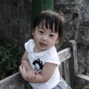 러블리안 이미지