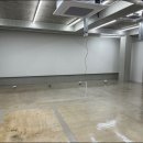 더비톤 이미지