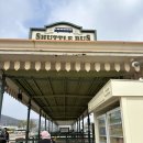 쌍둥이카써비스 | [33개월/10개월] 쌍둥이 유모차, 에버랜드 셔틀타고 365스탠다드 정기권 끊은날