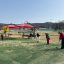 파크골프장 이미지