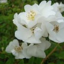 다은농장 이미지