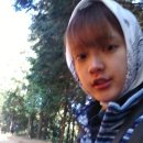 축령산 산소길(3구간) 네이버블로그