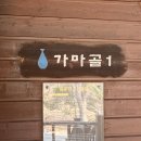 용인자연휴양림 | 용인 자연휴양림 펜션 이용 후기 가마골1 + 퇴실 후 근처 에버랜드 워킹사파리