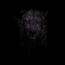 오창동물약국 이미지