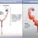 한빛동물병원 이미지