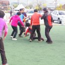 법수초등학교 이미지