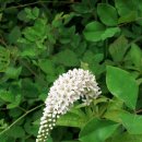 솔내공원 이미지