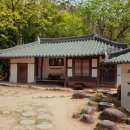 스테이아호이 이미지