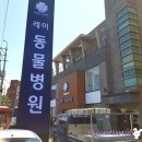 레이동물병원 이미지