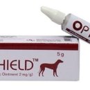 늘픔온누리약국 이미지