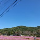 오천농협주유소