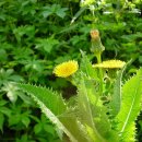 파주스타디움 이미지