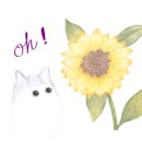 호텔디오션 이미지