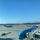 크리스탈게스트하우스 | [미국/출장] 기아 조지아 KaGA 출장 / 수원갈비 게스트하우스