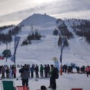 알프스비디오 이미지