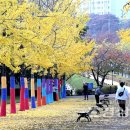 은행나무공원 이미지