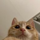 하이워터주 이미지