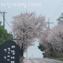 바람아래팜스테이 이미지