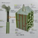 서울장신대학교 전인치유선교대학원 | 서울장신대학교 자연치유선교대학원 3주차