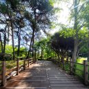 모당공원작은도서관 | 모당공원 작은도서관 일산 강아지 산책 도심속 힐링 수변공원