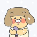 다미돈 | 11월 2주차