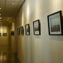 등대일식 이미지