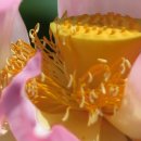 양산호수공원 이미지