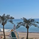 해파랑길 19코스 (화진해변 → 강구항) 포항에서 영덕으로(블루로드 1 . 2코스 시점) 2.. 이미지