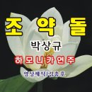 조약돌...박상규(하모니카 연주) 이미지