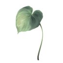 편한미용 이미지