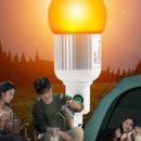 템템(tem tem) 이미지