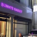 바니스바스켓 이미지